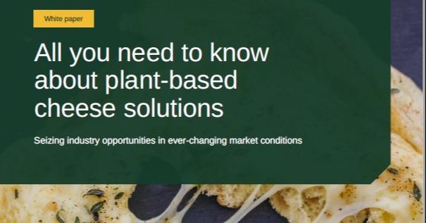Product: White paper: All you need to know about plant-based cheese solutions