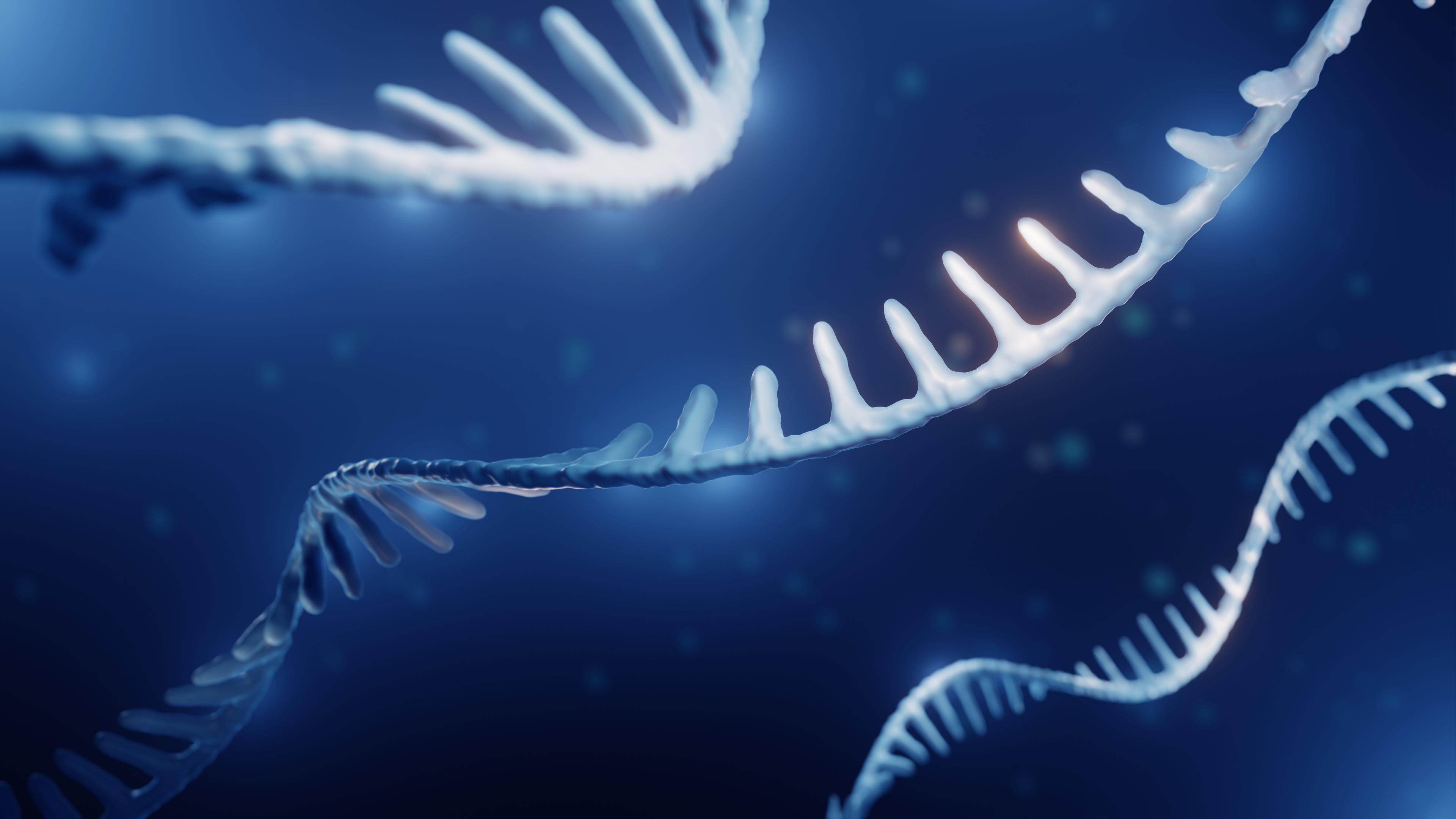 Product RNA technology image