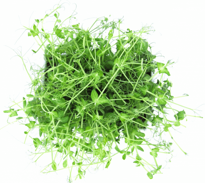 Product Peas - Homefarm image