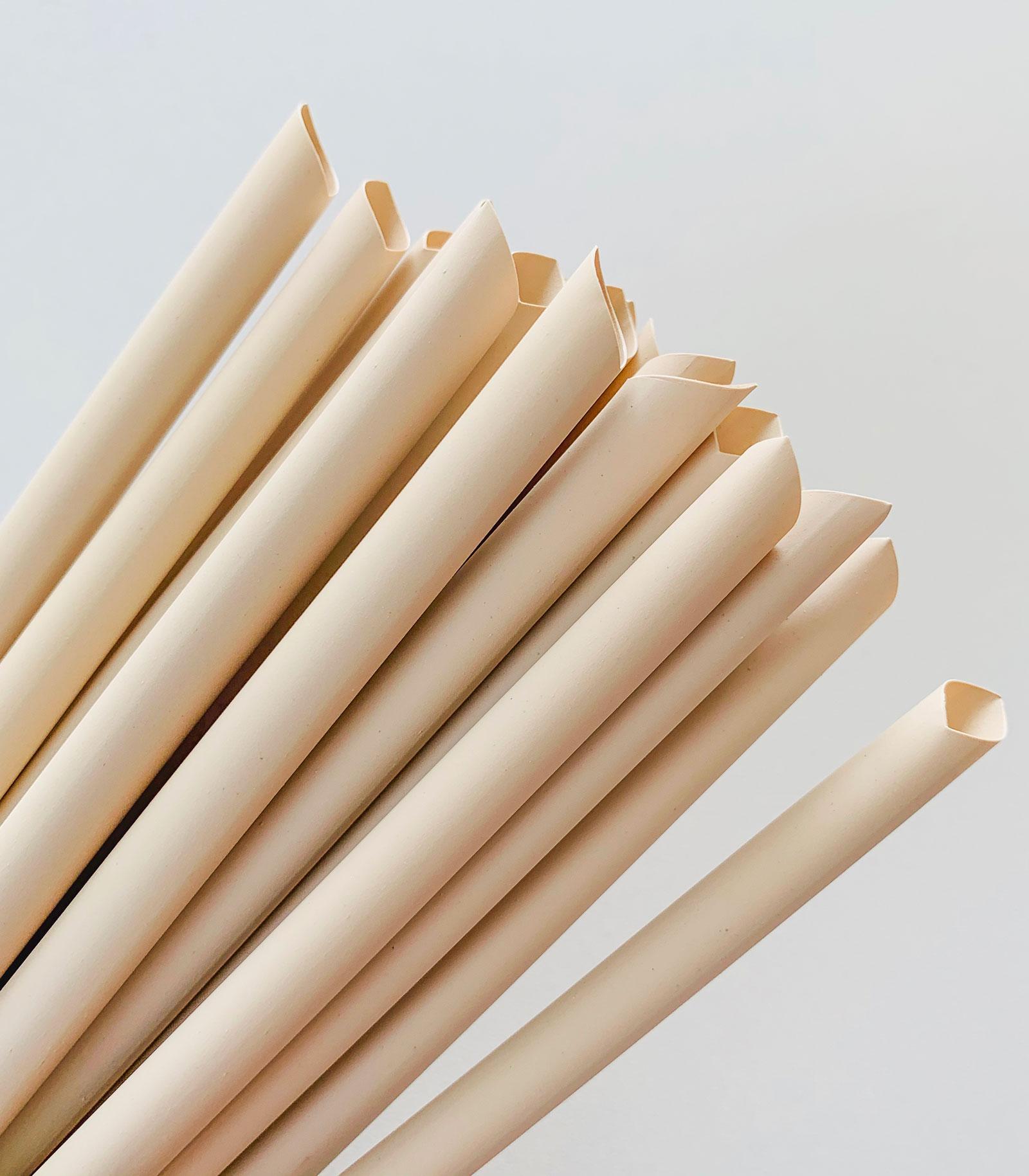 Product Bamboo Fiber Straw – Nature Bio – Sugarcane Straws | Sugarcane Fiber Straw | Bamboo Straw | Bamboo & Wood Cutlery | Bamboo Toothbrush image