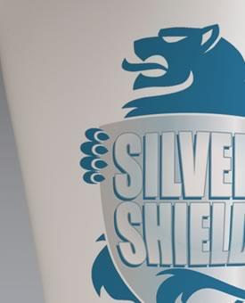 Product SilverShield antibacterial thermoplastic for orthotics and prosthetics. image