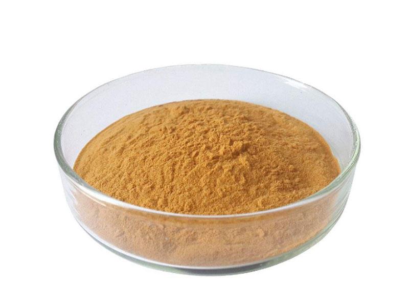 Product: Bulk Organic Oolong Tea Extract Powder | Certified Organic Manufacturer | ORGANICWAY