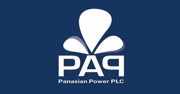 Product Panasian Power |   Services image