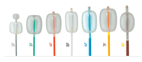 Product Balloon vascular catheters for arterial embolectomy - PRODIMED image