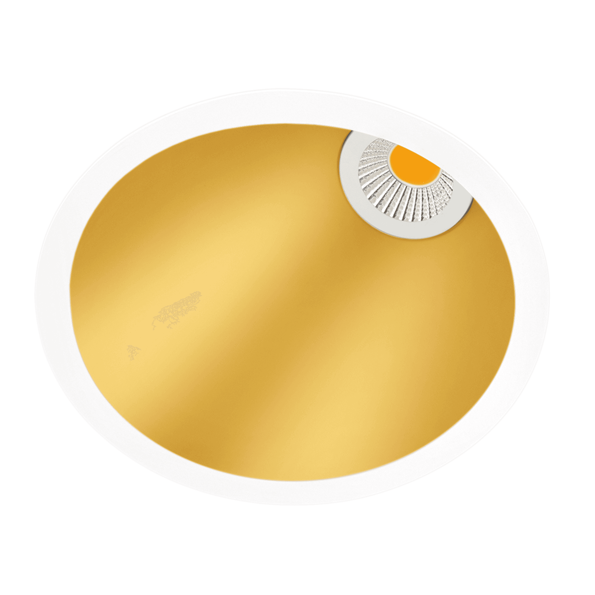 Product 
        Wasp Medium Asymmetric Spotlight - Prolight Design     image