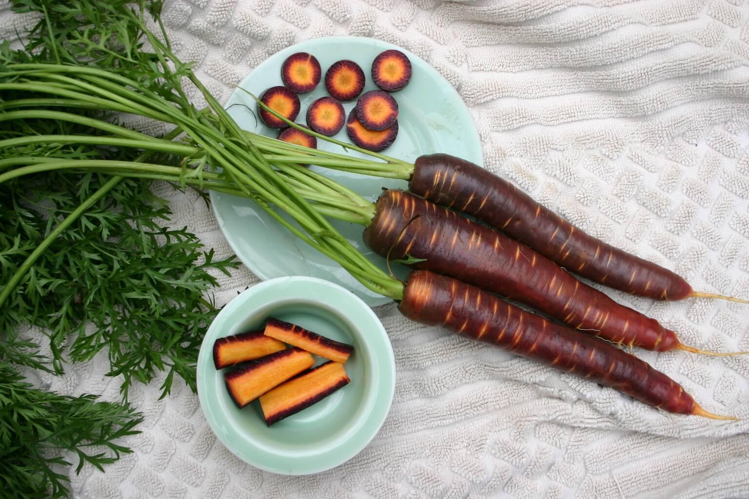 Product Purple Haze Carrot (Organic Pellet) | Seedway image