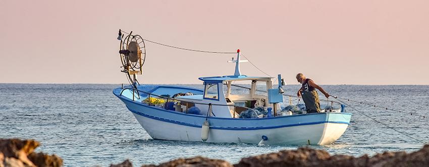 Product Space and Traditional Fisheries: Greece Experience - starfish image