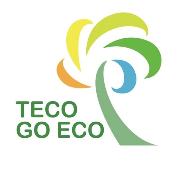 Product Green Energy Solutions - TECO-Westinghouse Motors (Canada) Inc. image