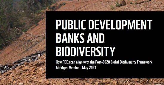 Product Public Development Banks and Biodiversity - The Biodiversity Consultancy image