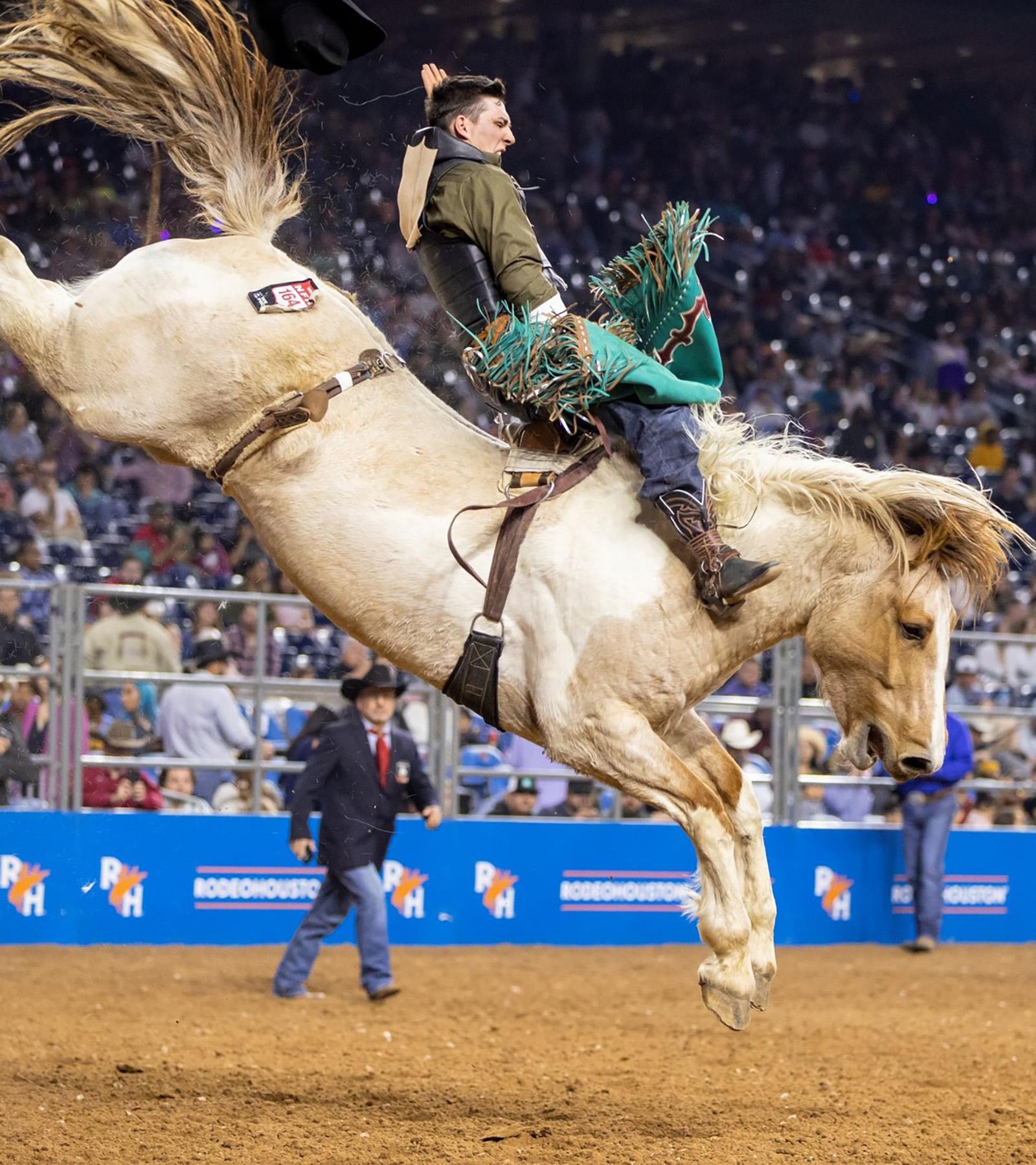 Product Experience the thrills and spills of the world's largest rodeo - The Vagabond Imperative image