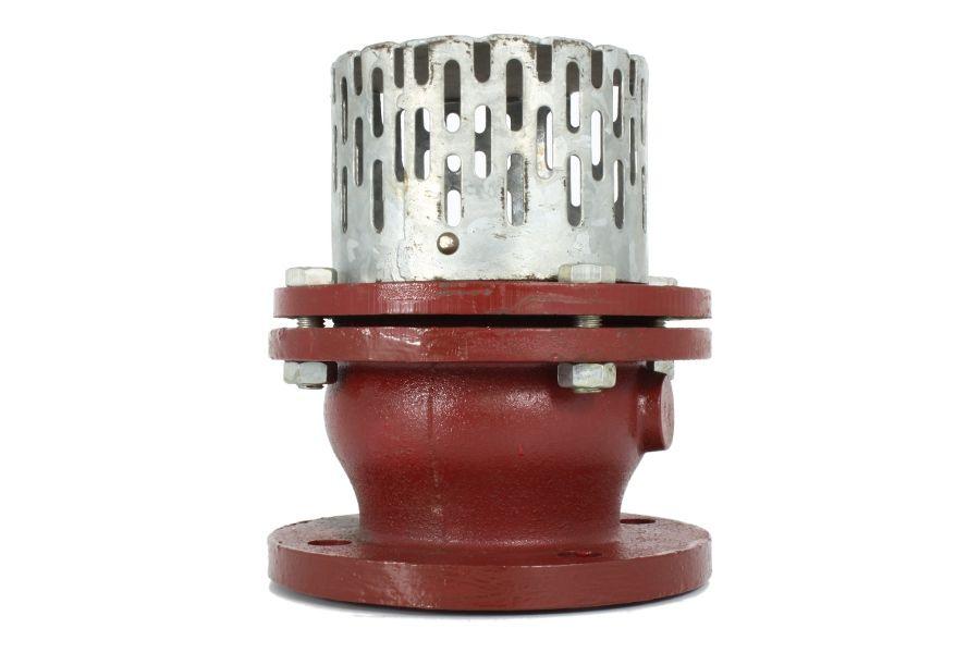 Product Flanged Foot Valve, 01-655 - Valves image