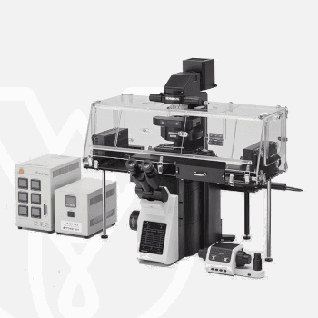 Product Olympus Microscope IXplore Live – PT Wadya Prima Mulia image