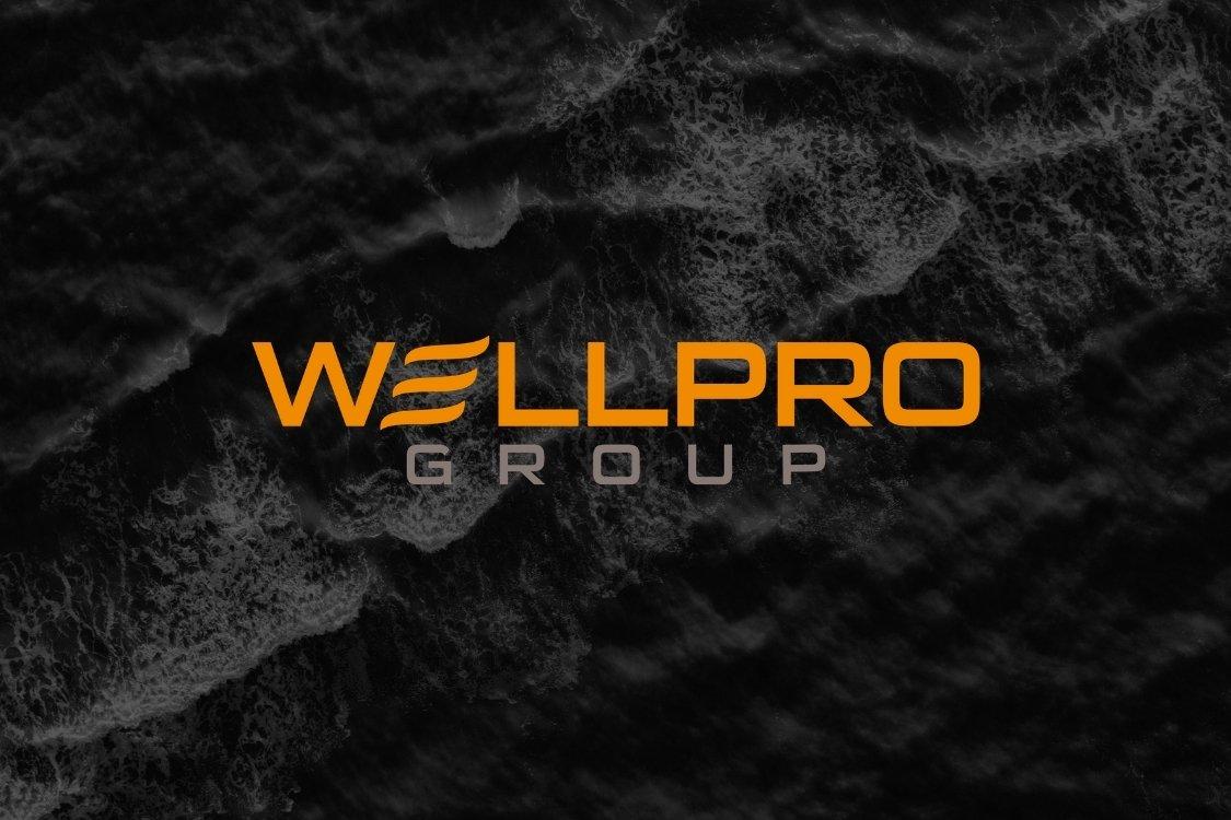 Product Deployment - Wellpro Group - IPI image
