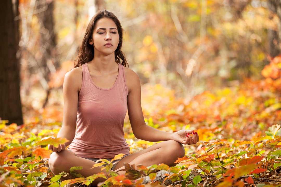 Product Learn Meditation Basics [2023] - Zen Osho Energy image
