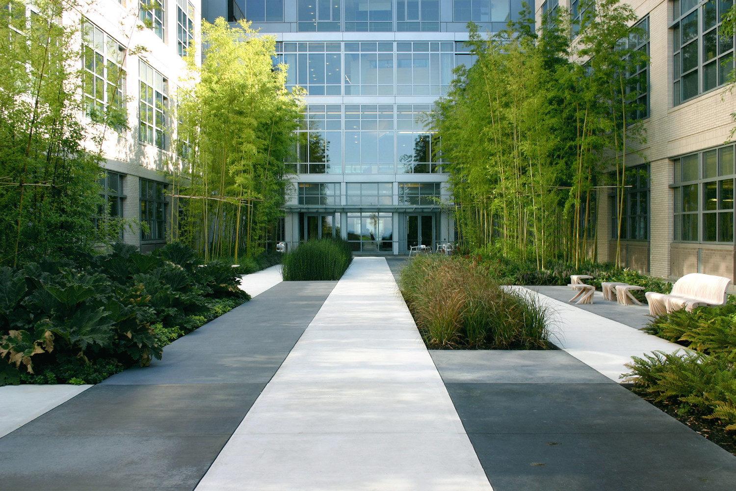 Image for Biotech Bamboo Garden – MURASE