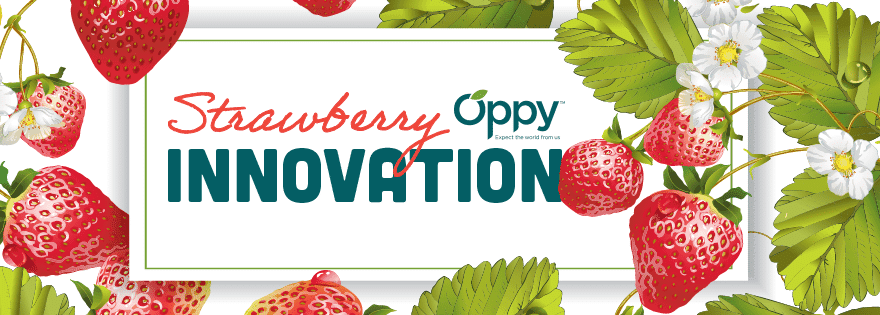 Product Oppy Set to Conduct Two Trials for Innovative Strawberry Technologies - advanced.farm : advanced.farm image