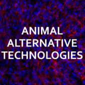 Animal Alternative Technologies Logo