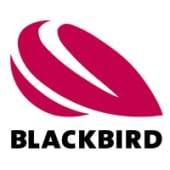 Blackbird Robotersysteme's Logo