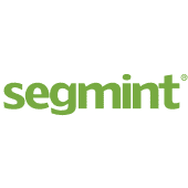Segmint's Logo