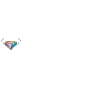 Diamond Visionics Logo
