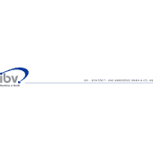 IBV's Logo