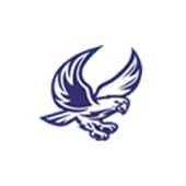 Falcon Papers & Plastics Logo