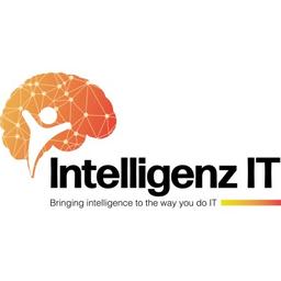 Intelligenz IT Logo