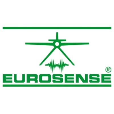 EUROSENSE's Logo