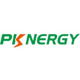 Shenzhen Pknergy Energy Co. Ltd. Logo