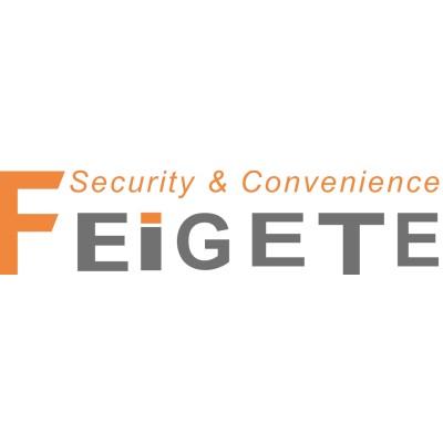 Feigete Intelligent Technology Co. Limited's Logo