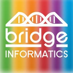 Bridge Informatics Logo