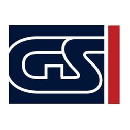 Global Surveys (GS) Logo