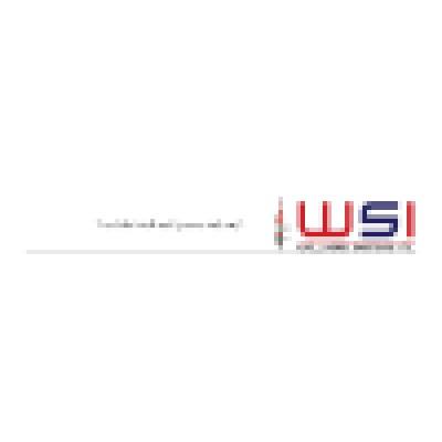 Wellhead Systems Inc.'s Logo