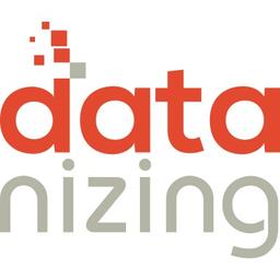 datanizing GmbH Logo