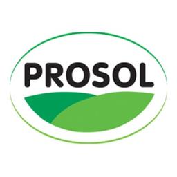Prosol S.p.A. Logo