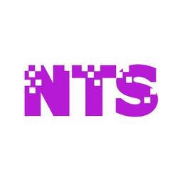 Nye Technical Services LLC Logo