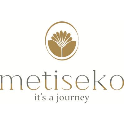 Metiseko's Logo
