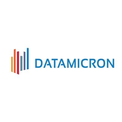 DataMicron's Logo