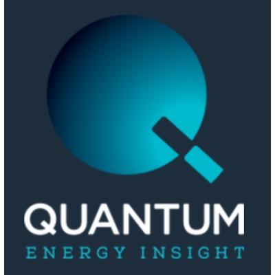 Quantum Energy Insight Inc.'s Logo