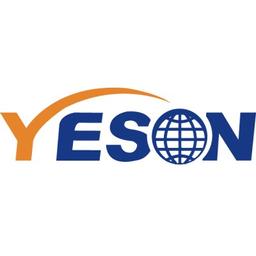 D.N.S YESON GROUP CO. LTD Logo