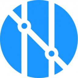 Nedieon Incorporated Logo