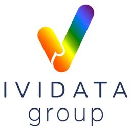 IVIDATA GROUP Logo
