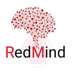 RedMind Technologies Logo