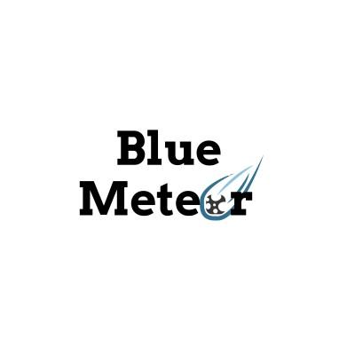 Blue Meteor Inc - Enterprise SaaS I PIM I DAM I Product Data Syndication Software's Logo