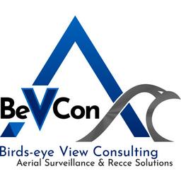 Birdseye View Consulting Logo