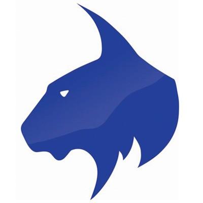 Blue Lynx | Technology Solutions's Logo