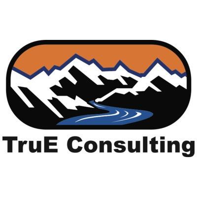 TruE Consulting Inc.'s Logo