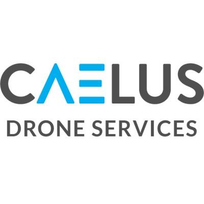Caelus Drone Services's Logo