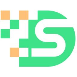 DS Services Logo
