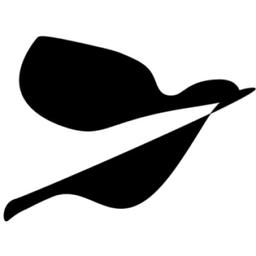 Digital Sparrow Limited Logo